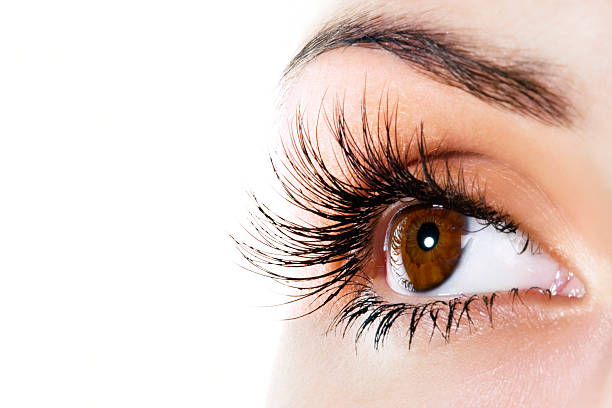 Lash Extension Styles